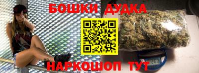 spice Кингисепп