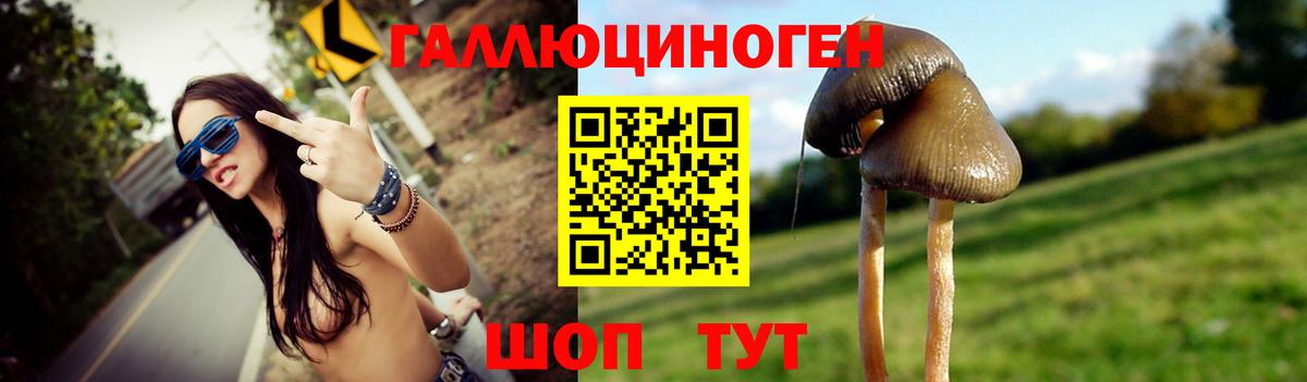 Псилоцибиновые грибы мицелий  Вход с VPN  Зерноград 